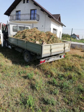 Excavații și transport